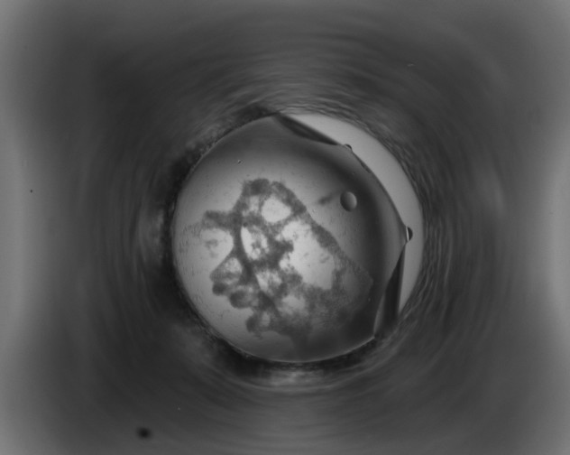 X0000086320319200704131659