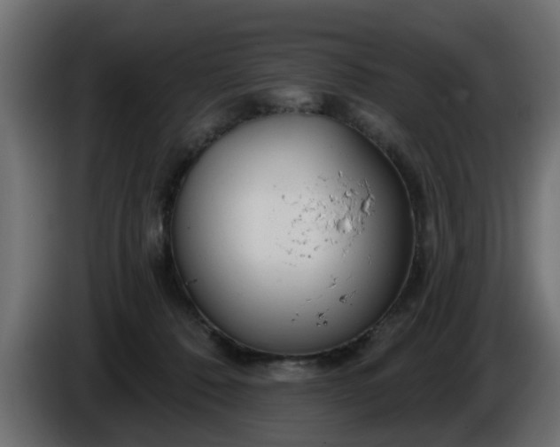 X0000086320320200704131659