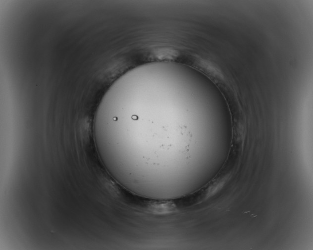 X0000086320321200704131659