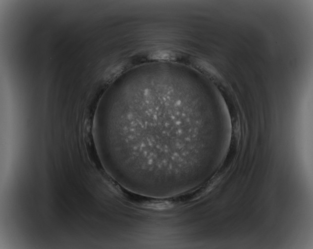 X0000086320322200704131659