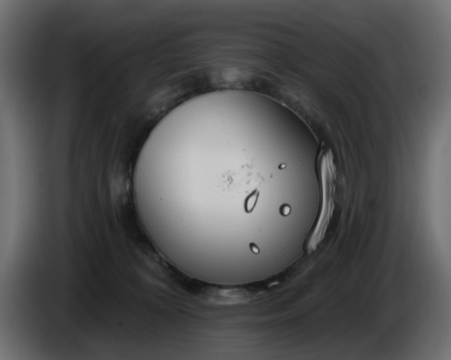 X0000086320324200704131659