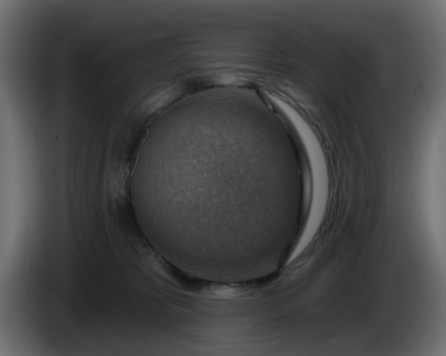 X0000086320325200704131659