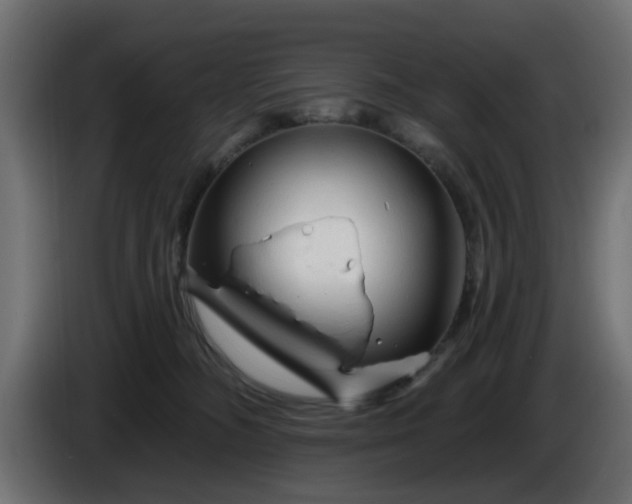 X0000086320326200704131659