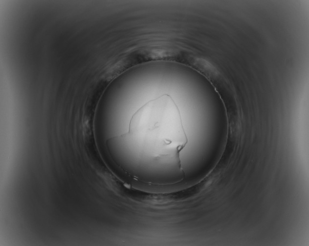 X0000086320327200704131659