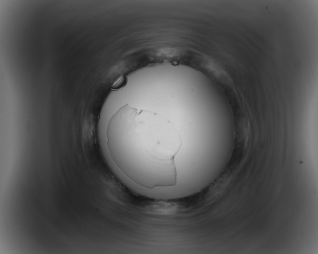 X0000086320328200704131659