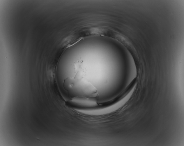 X0000086320329200704131659