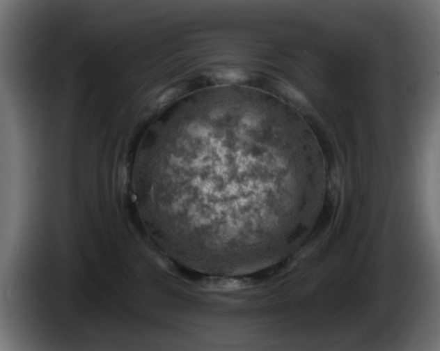 X0000086320330200704131659