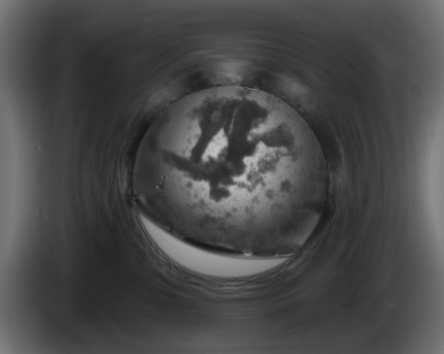 X0000086320331200704131659