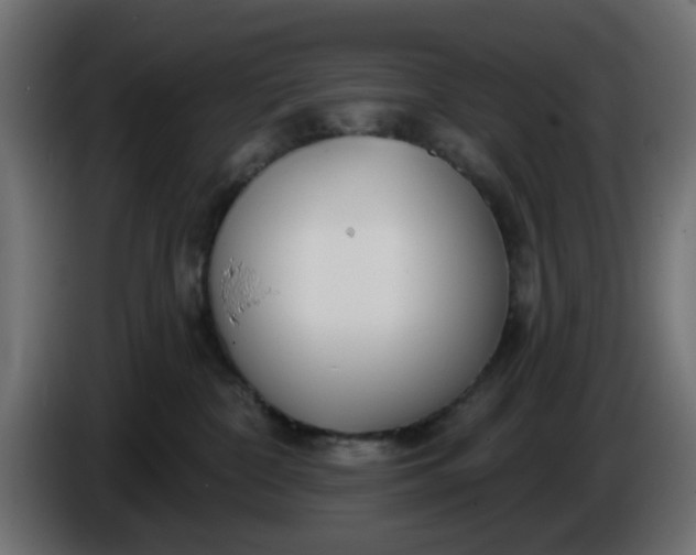 X0000086320332200704131659