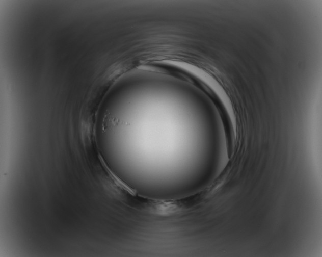 X0000086320333200704131659