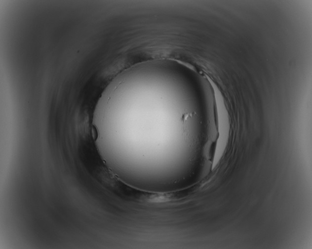 X0000086320335200704131659