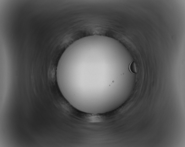 X0000086320336200704131659