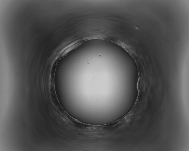 X0000086320338200704131658