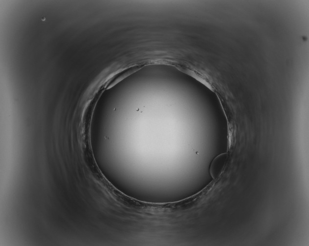 X0000086320339200704131658