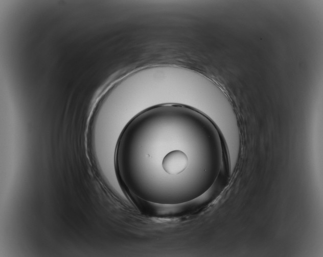 X0000086320340200704131658