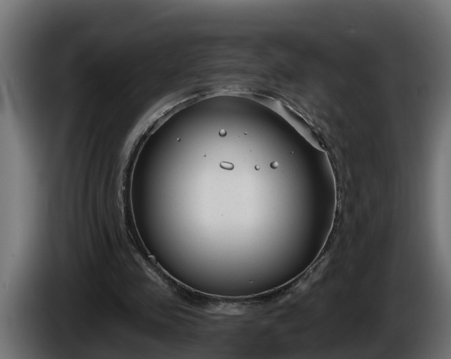 X0000086320341200704131658