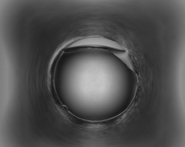 X0000086320342200704131658