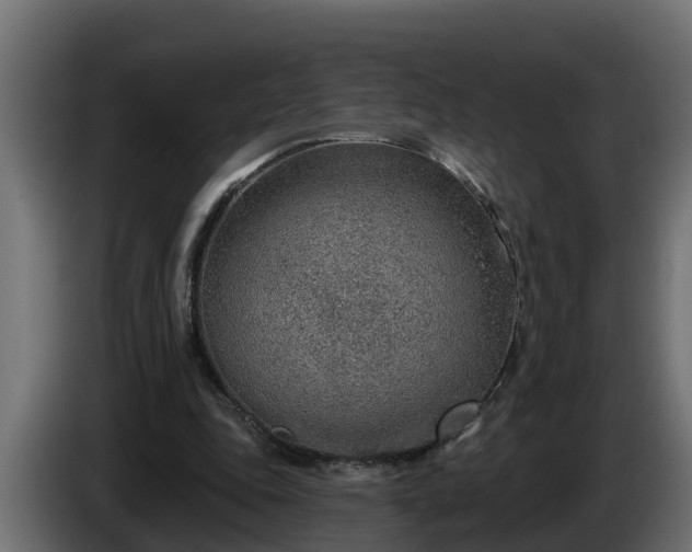 X0000086320343200704131658