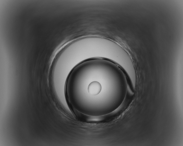 X0000086320344200704131658