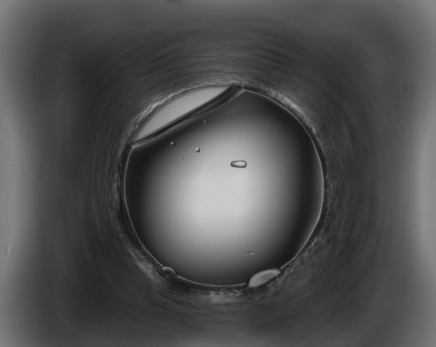 X0000086320345200704131658