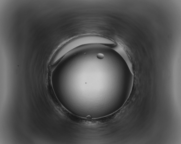 X0000086320346200704131658