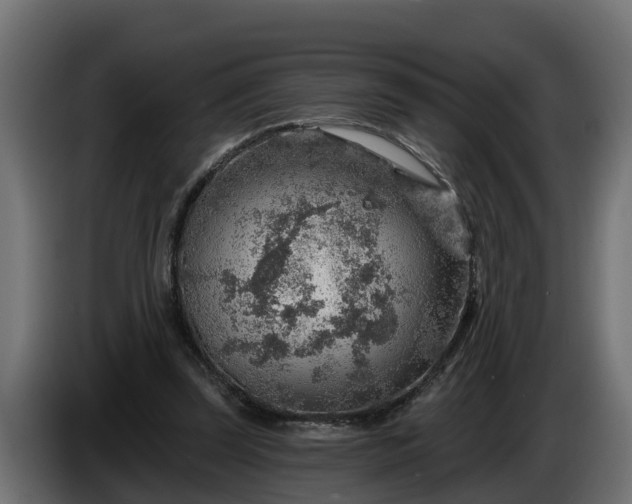 X0000086320347200704131658