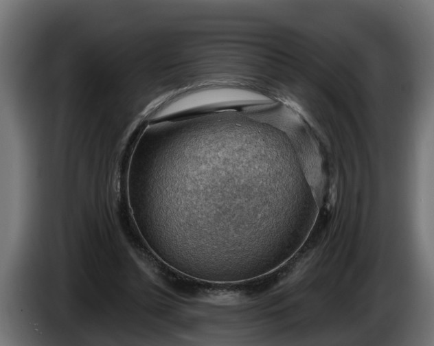 X0000086320348200704131658