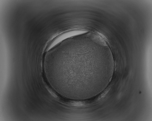 X0000086320349200704131658