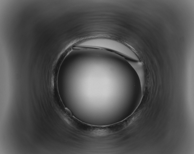 X0000086320350200704131658