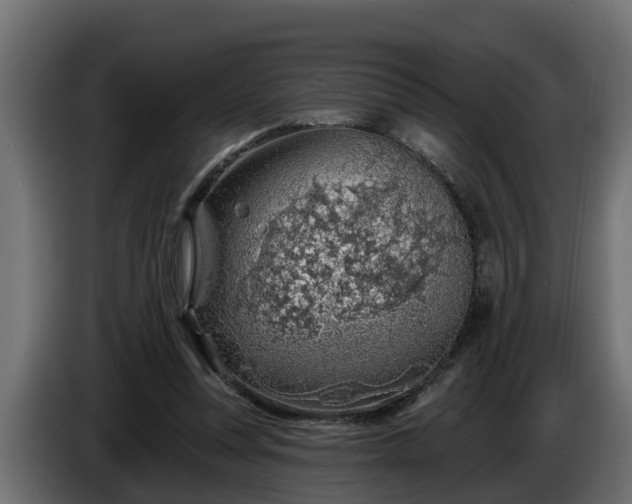 X0000086320351200704131658