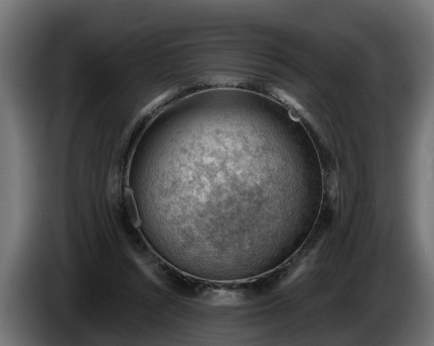 X0000086320352200704131658