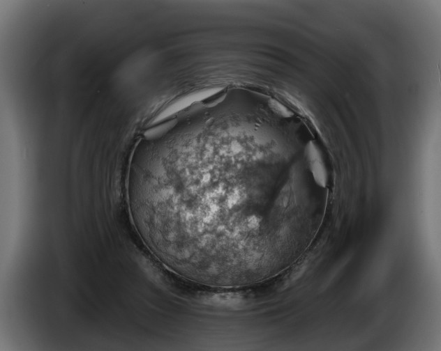 X0000086320353200704131658