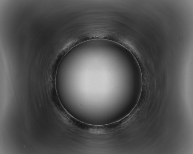 X0000086320354200704131658