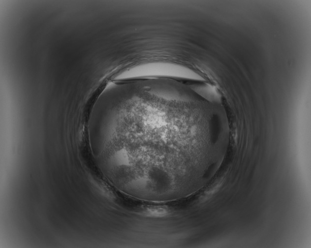 X0000086320355200704131658