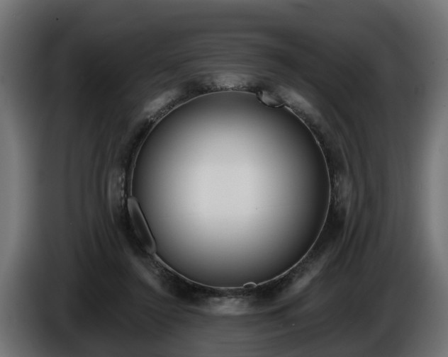 X0000086320356200704131658