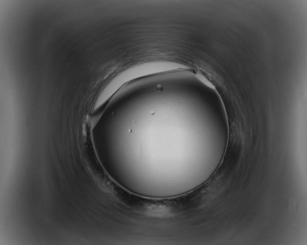 X0000086320358200704131658