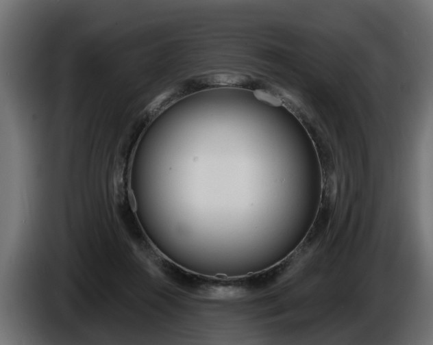 X0000086320360200704131659