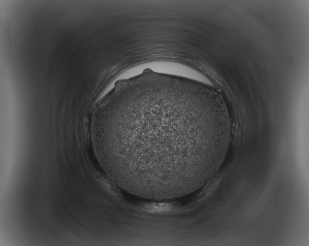 X0000086320361200704131659