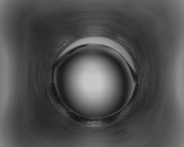 X0000086320362200704131659