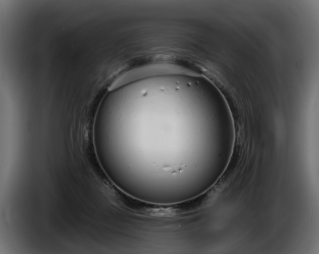 X0000086320363200704131659