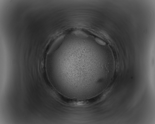 X0000086320365200704131659