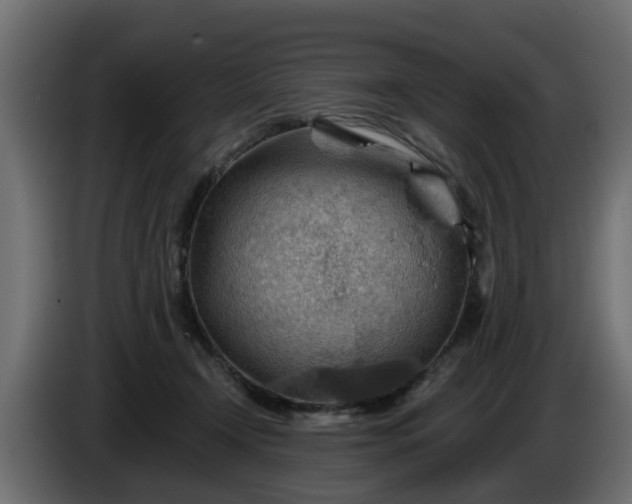 X0000086320366200704131659