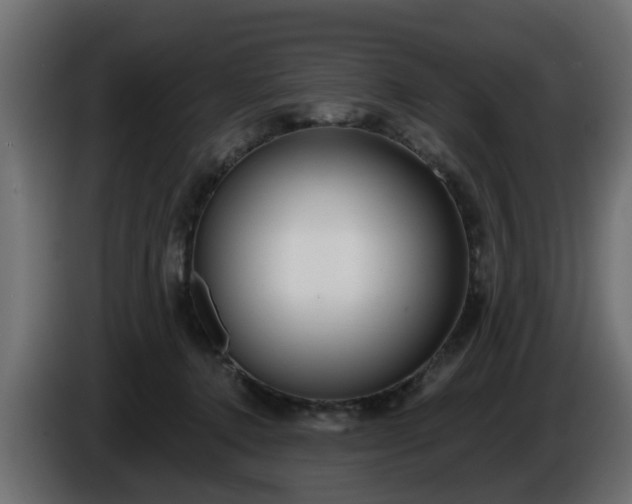 X0000086320368200704131659