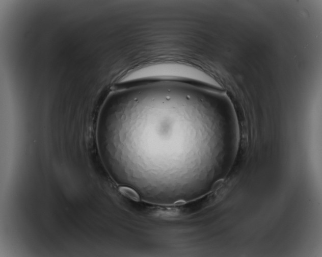 X0000086320369200704131659