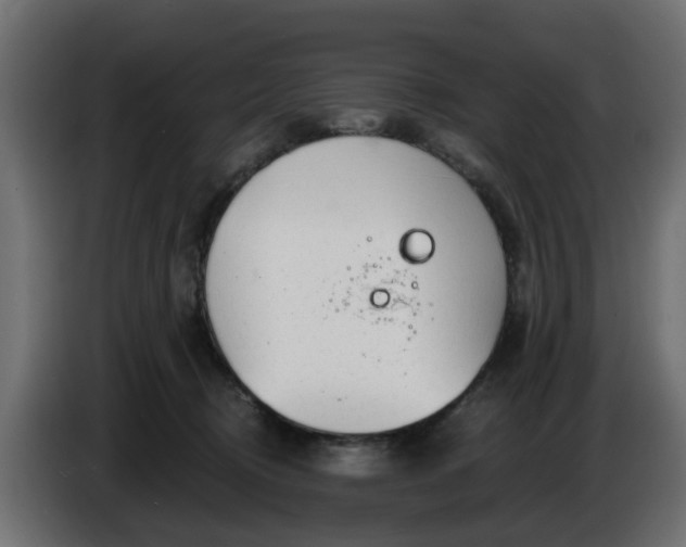 X0000086320370200704131659