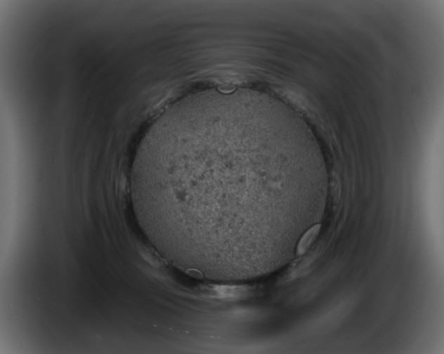 X0000086320371200704131659