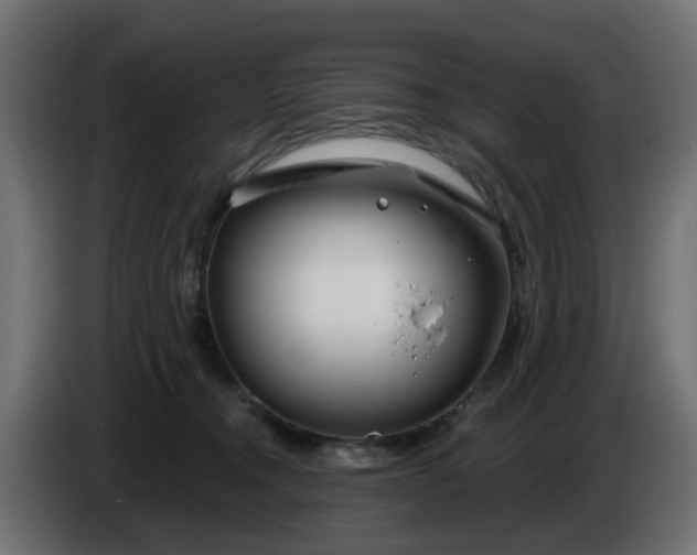 X0000086320372200704131659