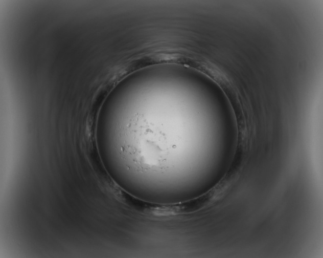 X0000086320373200704131659