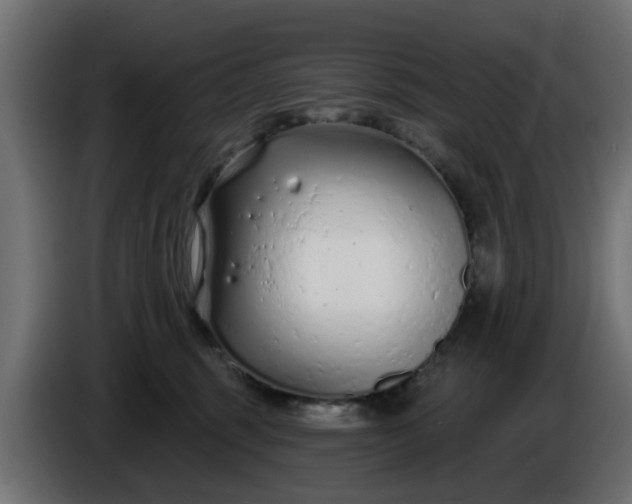 X0000086320375200704131659