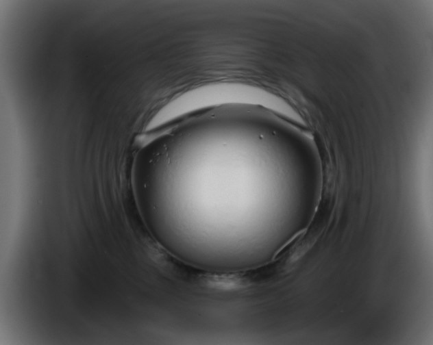 X0000086320377200704131659